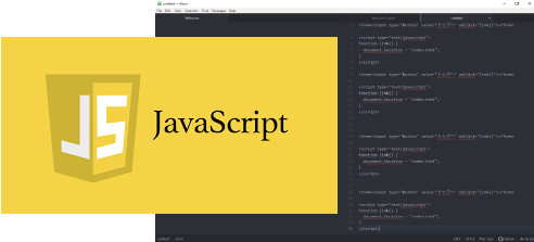 JavaScript